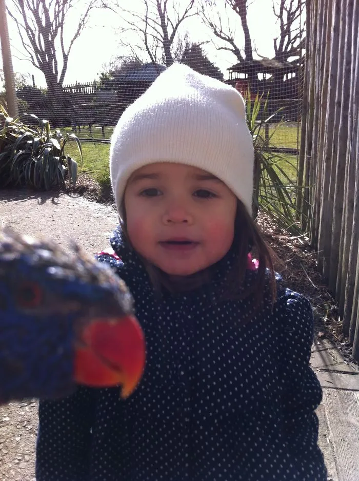90 Of The Funniest Animal Photobombs Ever