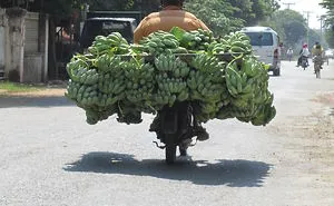 37 Of The Most Overloaded Vehicles Ever