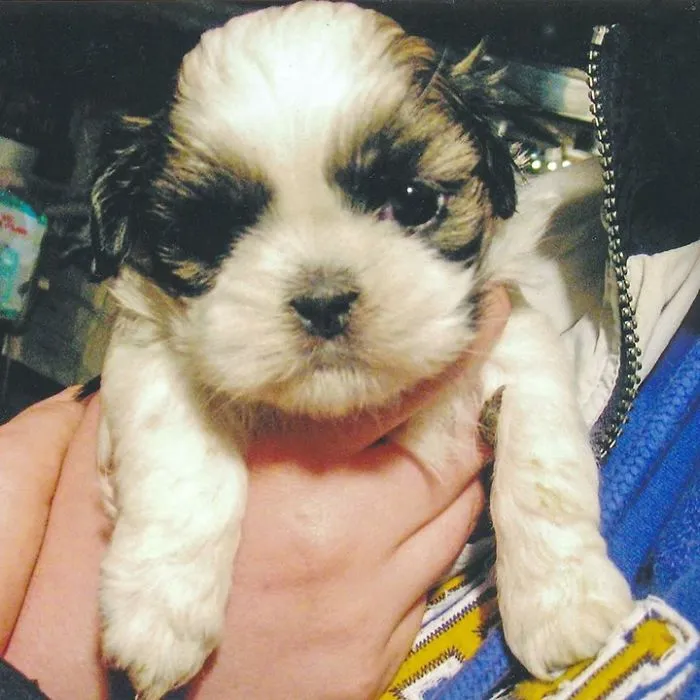 Baby Jasmine