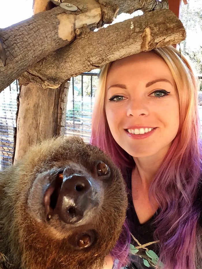 90 Of The Funniest Animal Photobombs Ever