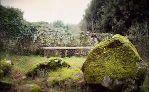 Emily Bronte's Atmosphere
