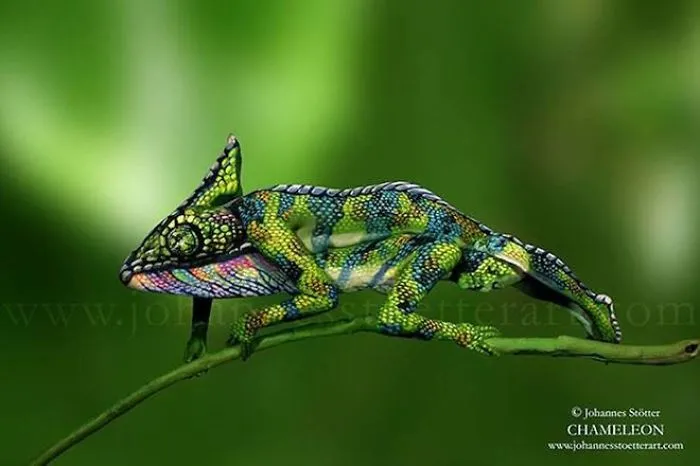 Incredible New Bodypainting Of A Chameleon Consists Of Two Women (can You Spot Them?)