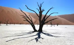 We Got Lost In Namibia