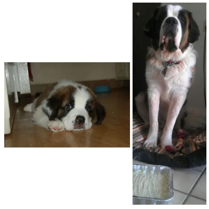 Robbie At One Month And One Year