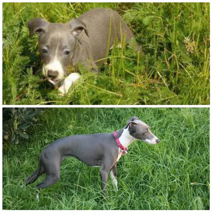 Ellee At 3 Months And 2 Years.