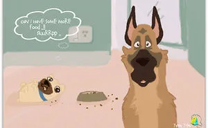 Pug - Tunnu