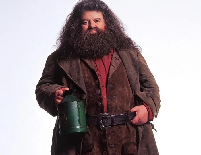 5 Reasons Why Hagrid Is Basically Your Grandmother