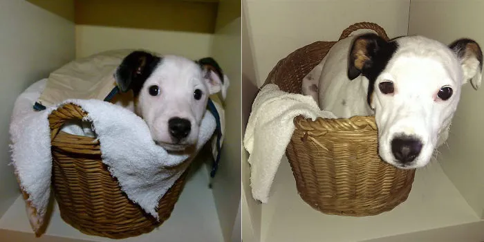 3 Years Apart