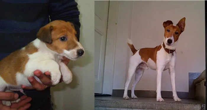 5 Years Appart My Boy Jack