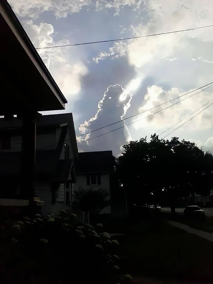 Godzilla