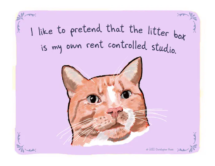 51 Funny Cat And Dog Confessions Reveal What They Actually Think