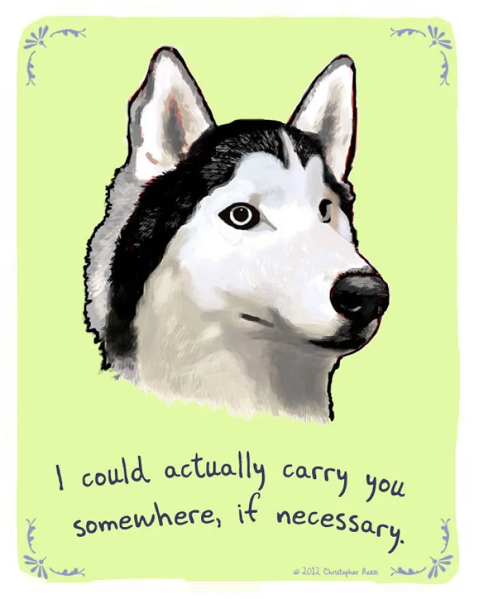 51 Funny Cat And Dog Confessions Reveal What They Actually Think