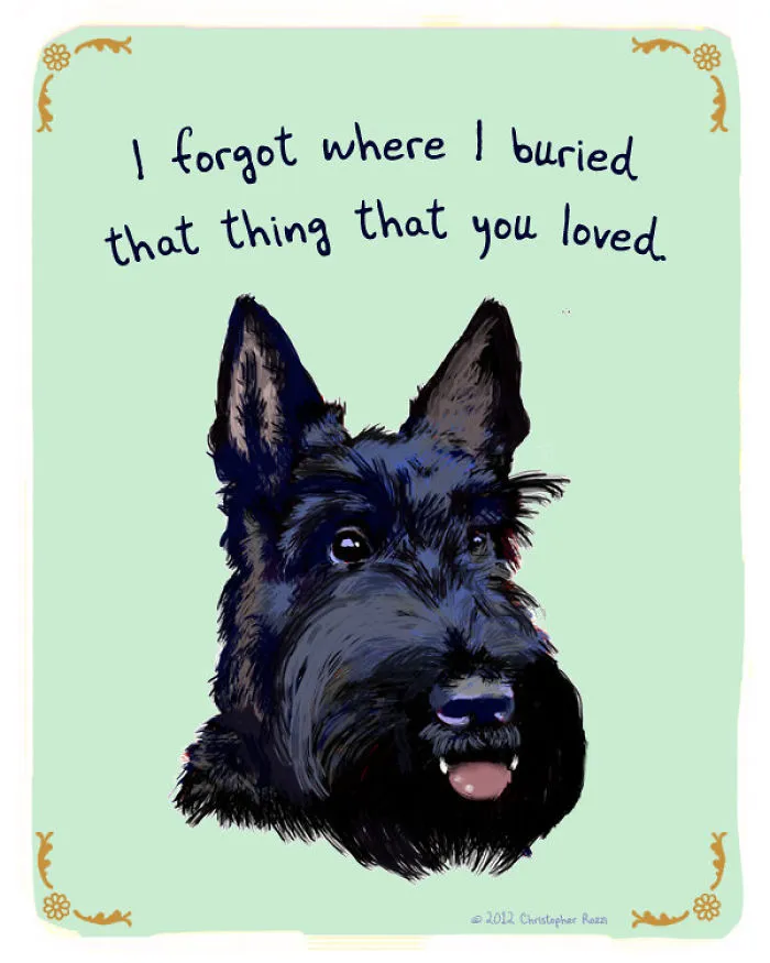 51 Funny Cat And Dog Confessions Reveal What They Actually Think