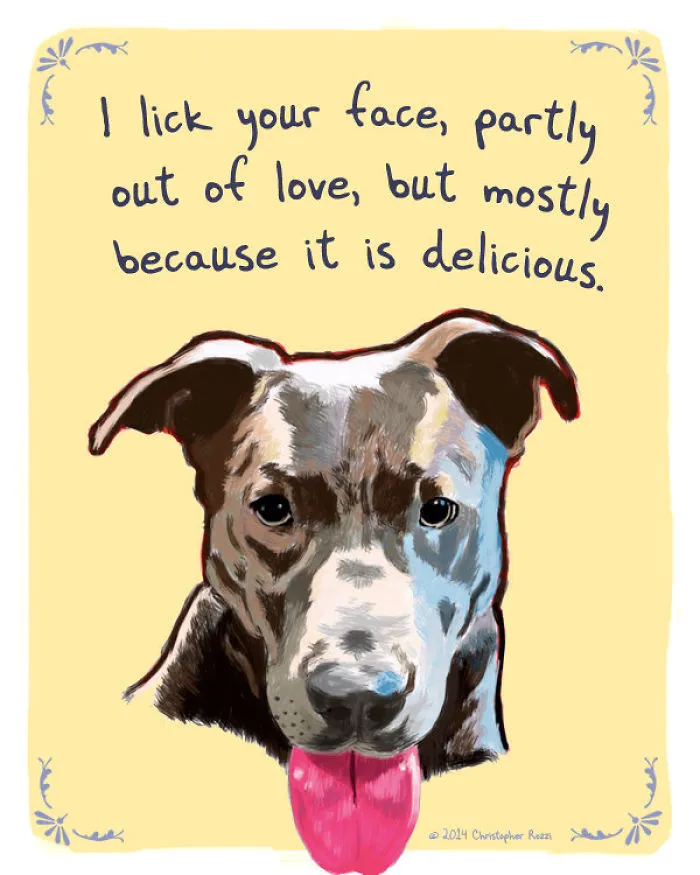 51 Funny Cat And Dog Confessions Reveal What They Actually Think