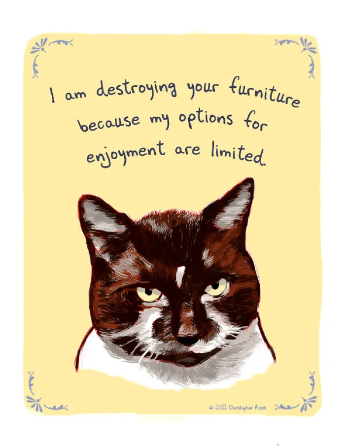 51 Funny Cat And Dog Confessions Reveal What They Actually Think