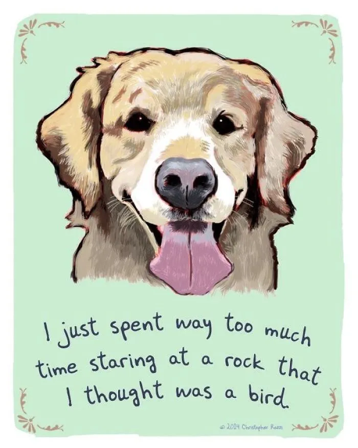51 Funny Cat And Dog Confessions Reveal What They Actually Think
