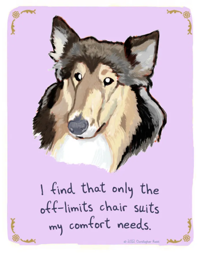 51 Funny Cat And Dog Confessions Reveal What They Actually Think