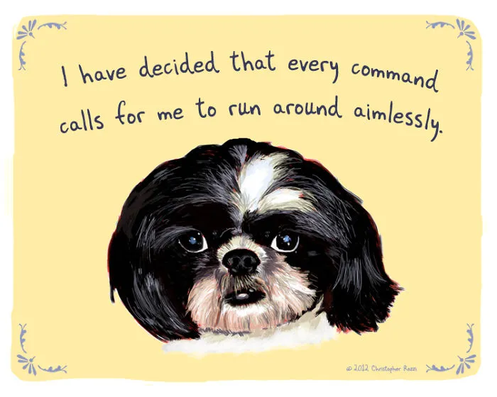 51 Funny Cat And Dog Confessions Reveal What They Actually Think