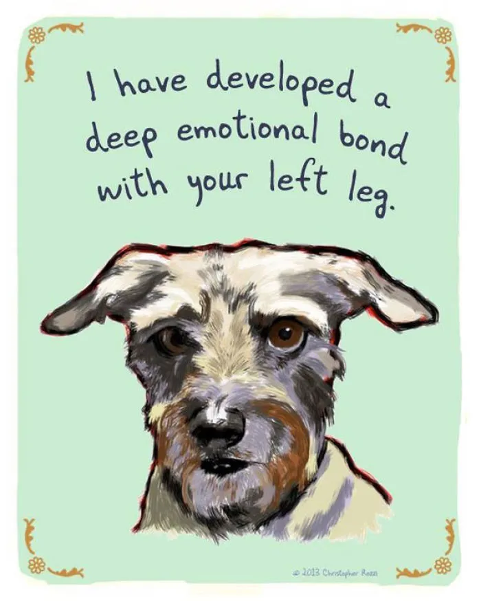 51 Funny Cat And Dog Confessions Reveal What They Actually Think