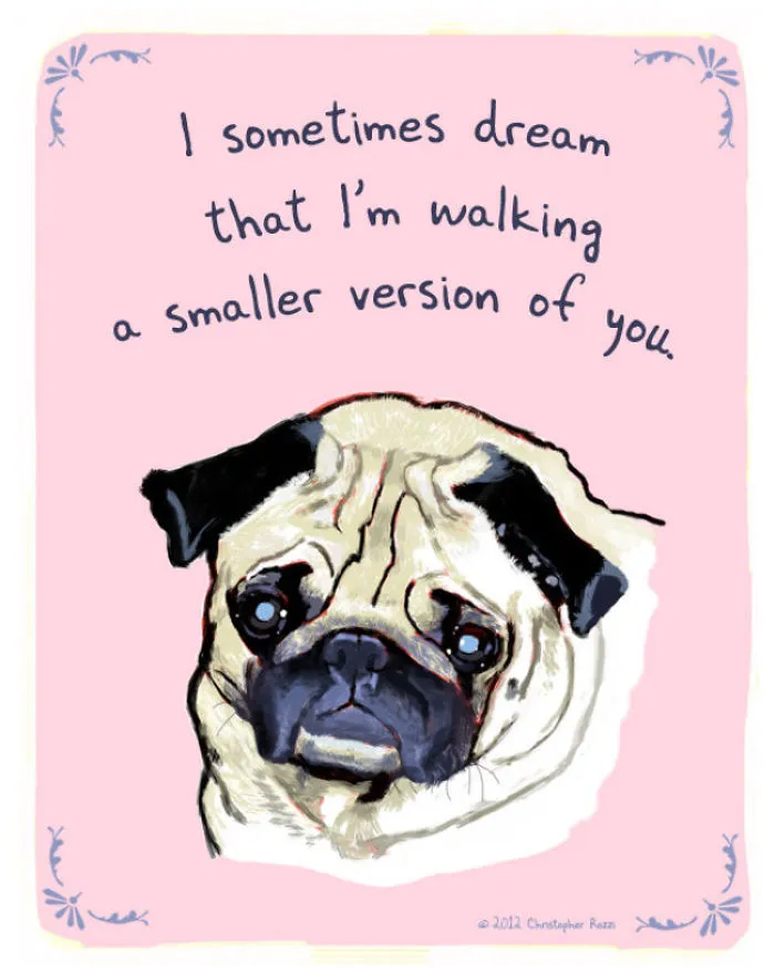 51 Funny Cat And Dog Confessions Reveal What They Actually Think