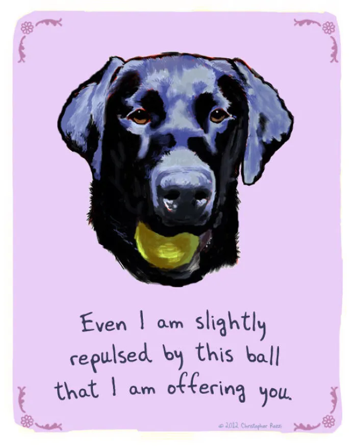 51 Funny Cat And Dog Confessions Reveal What They Actually Think