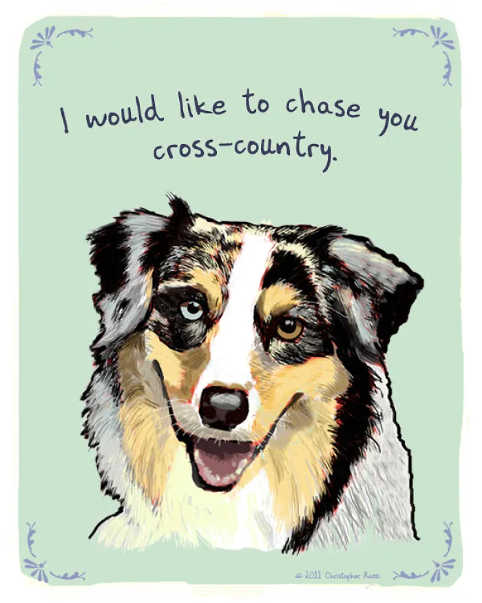 51 Funny Cat And Dog Confessions Reveal What They Actually Think