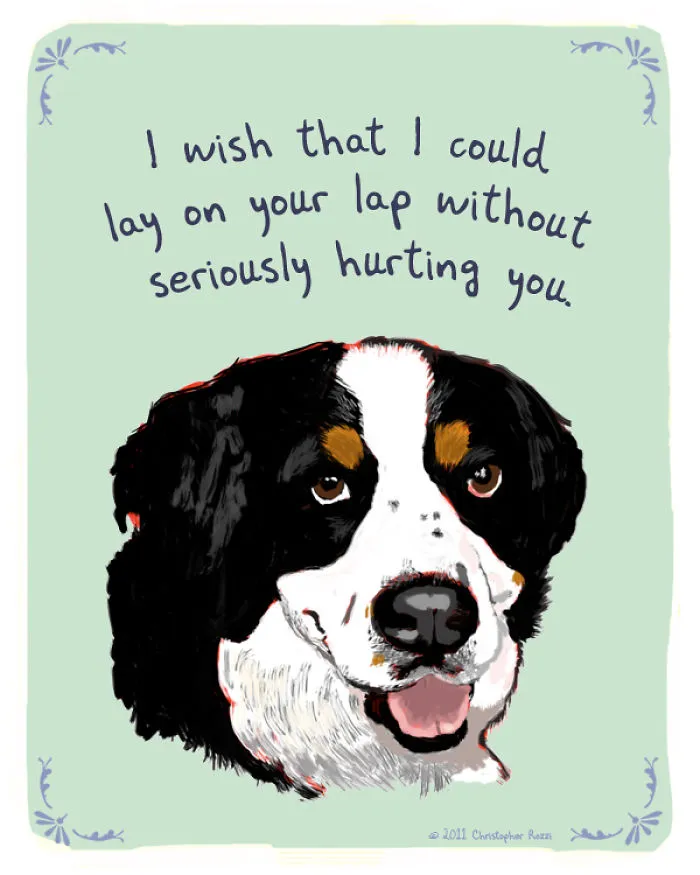 51 Funny Cat And Dog Confessions Reveal What They Actually Think