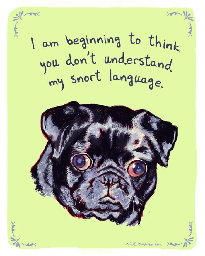 Tiny Animal Confessions