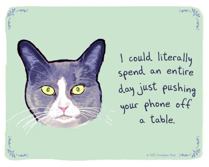51 Funny Cat And Dog Confessions Reveal What They Actually Think