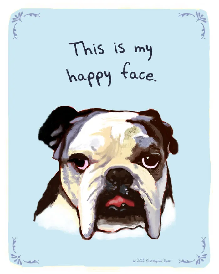 51 Funny Cat And Dog Confessions Reveal What They Actually Think