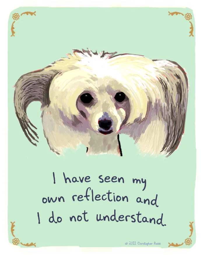 51 Funny Cat And Dog Confessions Reveal What They Actually Think