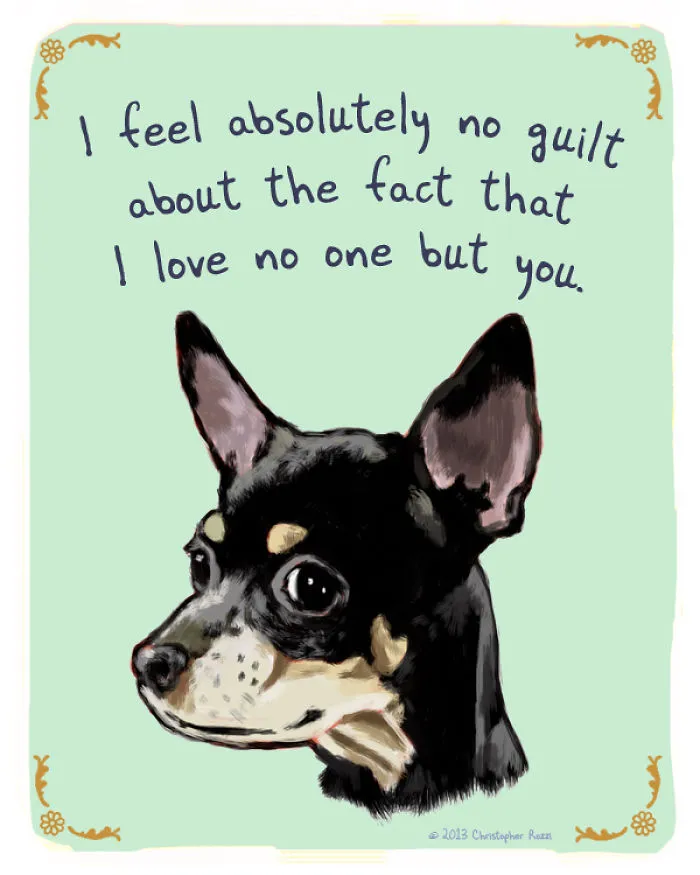 51 Funny Cat And Dog Confessions Reveal What They Actually Think