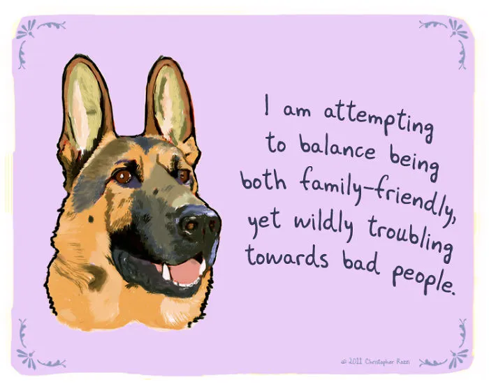 51 Funny Cat And Dog Confessions Reveal What They Actually Think