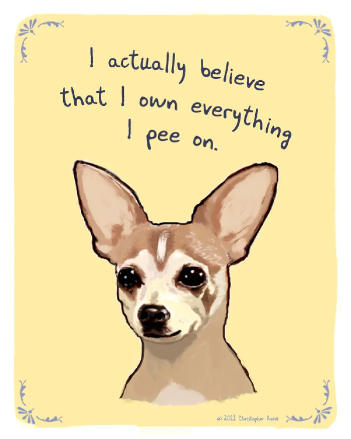 51 Funny Cat And Dog Confessions Reveal What They Actually Think