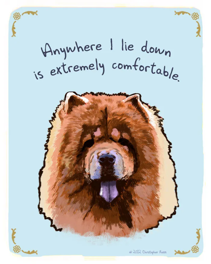 51 Funny Cat And Dog Confessions Reveal What They Actually Think