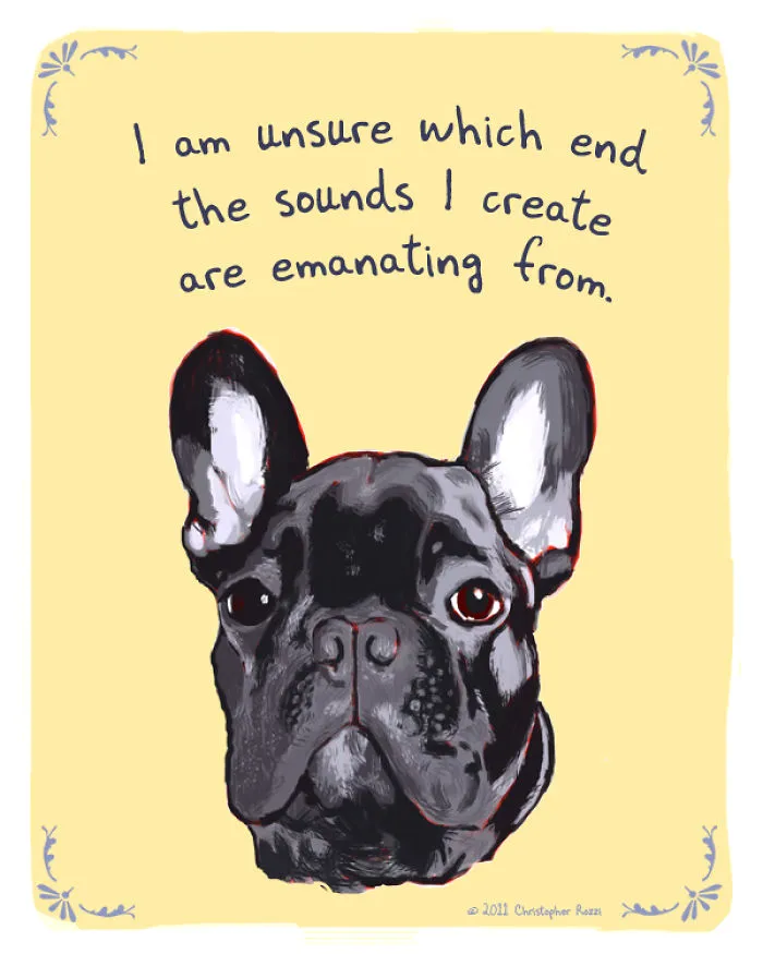 51 Funny Cat And Dog Confessions Reveal What They Actually Think