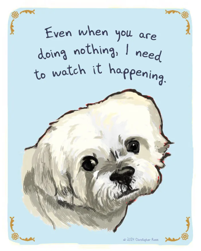 51 Funny Cat And Dog Confessions Reveal What They Actually Think