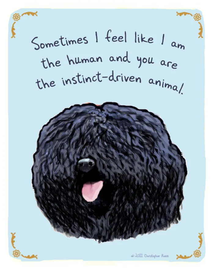51 Funny Cat And Dog Confessions Reveal What They Actually Think