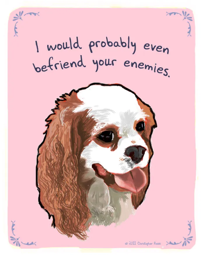 51 Funny Cat And Dog Confessions Reveal What They Actually Think
