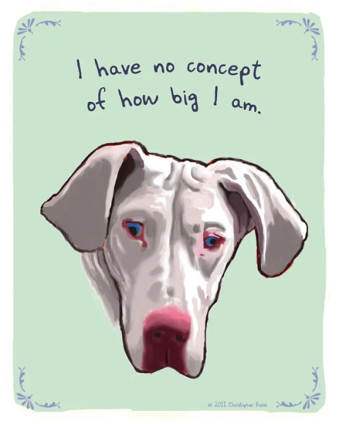51 Funny Cat And Dog Confessions Reveal What They Actually Think