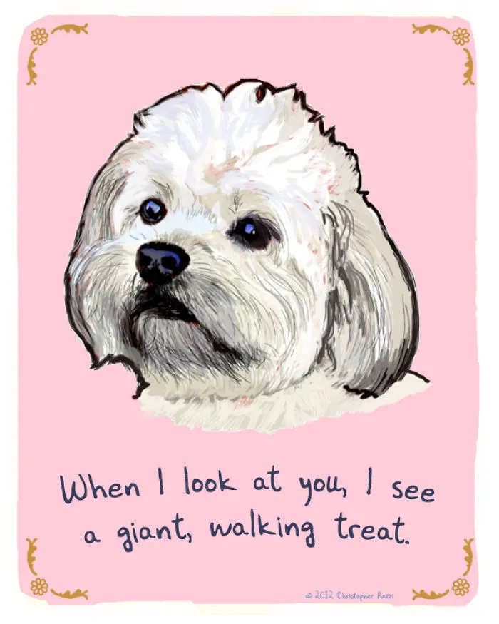 51 Funny Cat And Dog Confessions Reveal What They Actually Think
