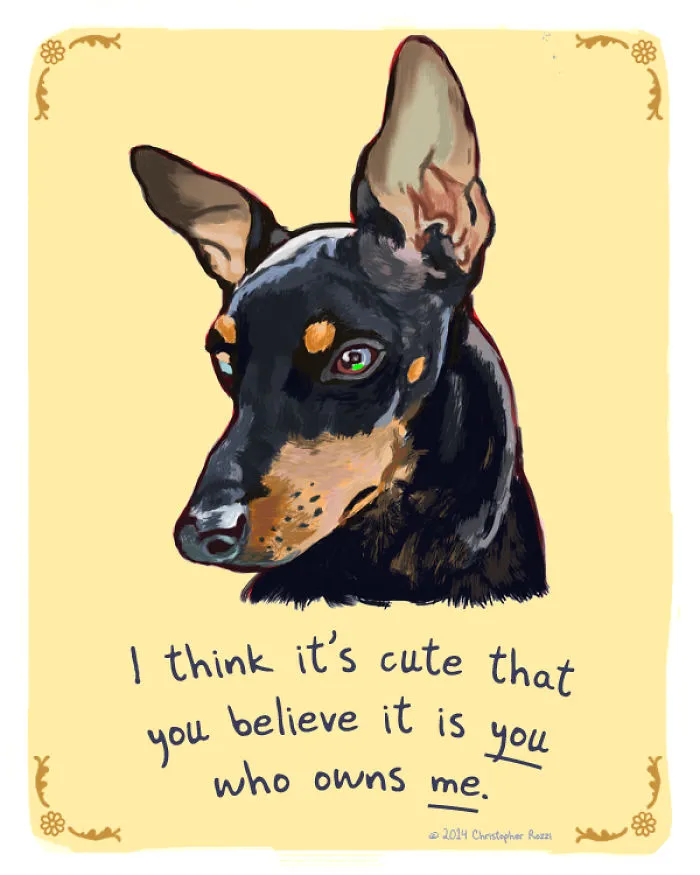 51 Funny Cat And Dog Confessions Reveal What They Actually Think