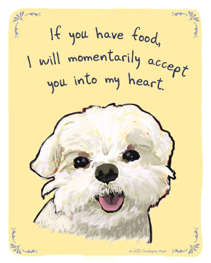 51 Funny Cat And Dog Confessions Reveal What They Actually Think