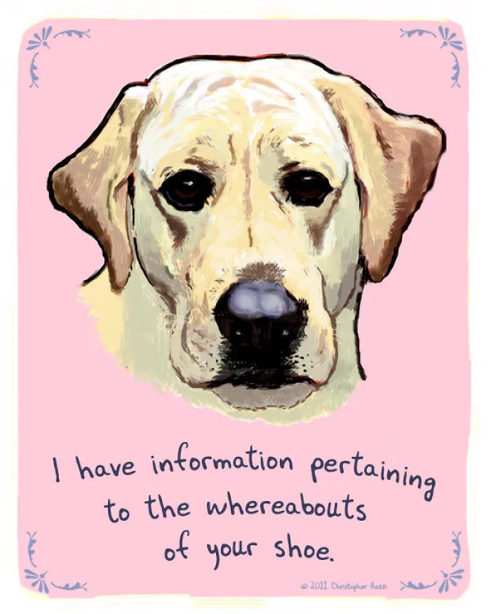 51 Funny Cat And Dog Confessions Reveal What They Actually Think