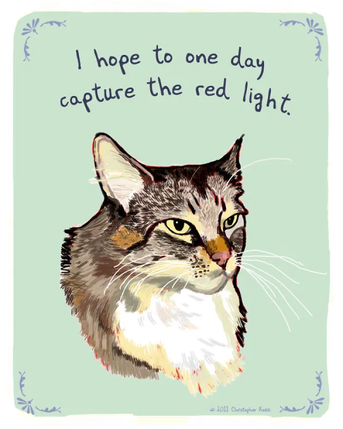 51 Funny Cat And Dog Confessions Reveal What They Actually Think