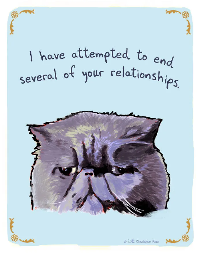 51 Funny Cat And Dog Confessions Reveal What They Actually Think