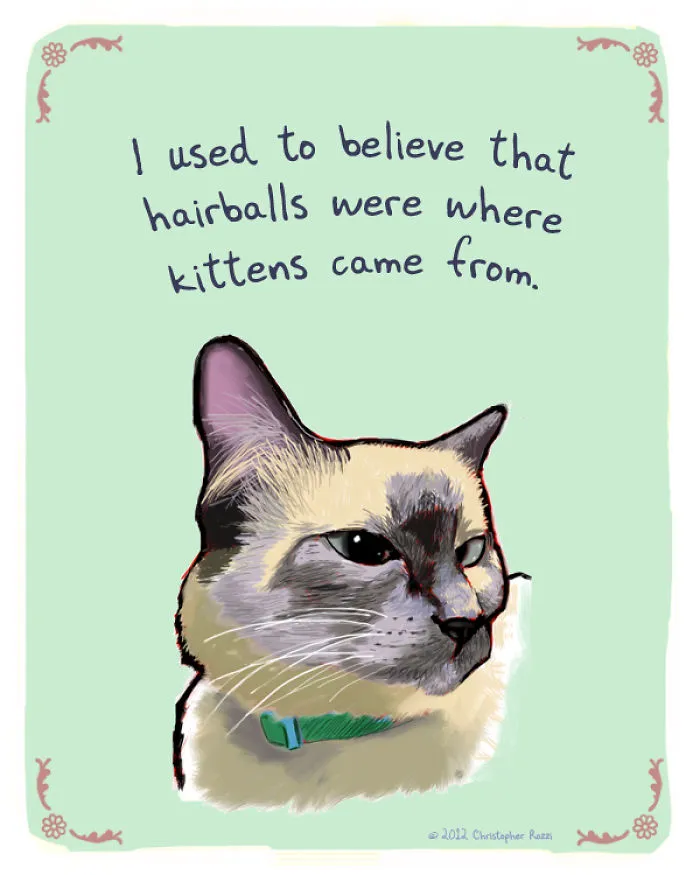 51 Funny Cat And Dog Confessions Reveal What They Actually Think