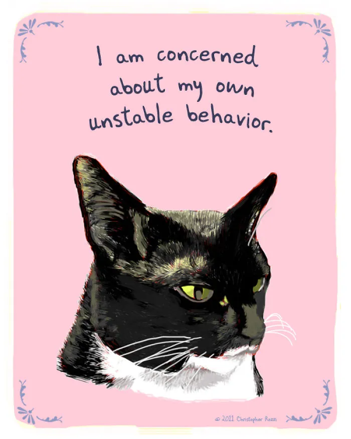 51 Funny Cat And Dog Confessions Reveal What They Actually Think