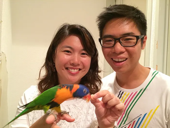 Cafe Where You Can Play With Parrots