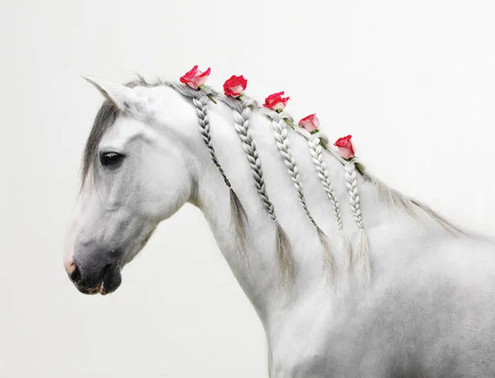 Braids With Roses
